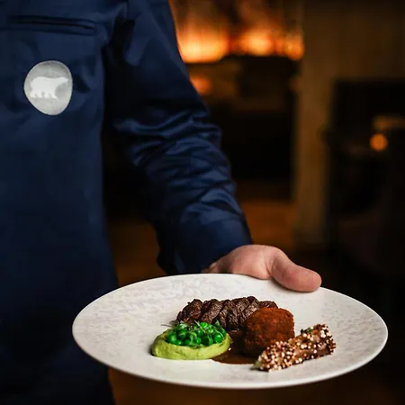 호텔 아크틱 라이트 4*