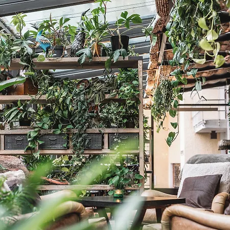 Hotel Arctic Light 4*