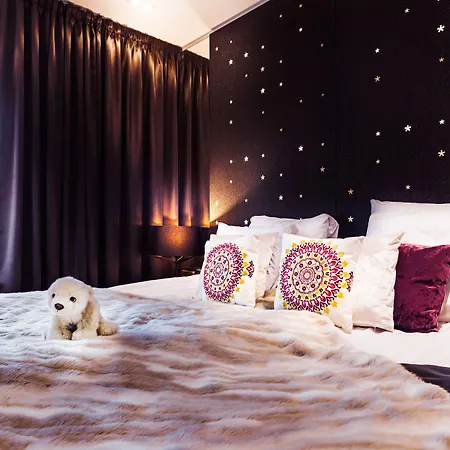 아크틱 라이트 호텔 4*