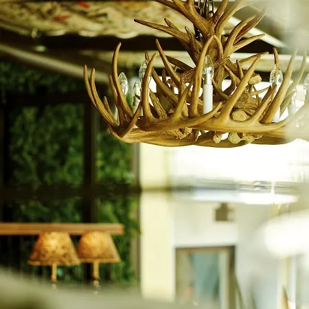 호텔 아크틱 라이트