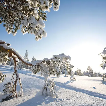 Hotell Arctic Light Rovaniemi