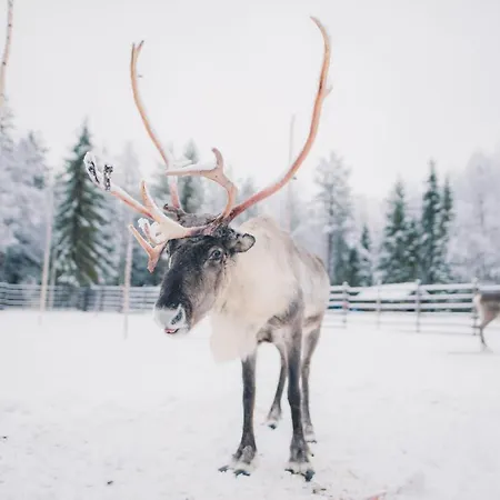 Arctic Light Hotel Rovaniemi