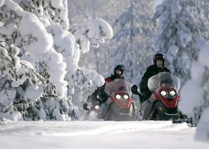 호텔 아크틱 라이트