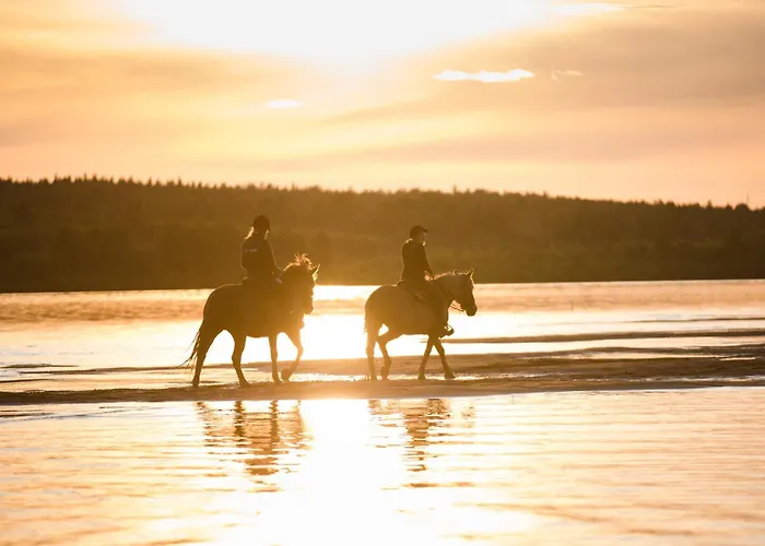 酒店 北极之光酒店 4*