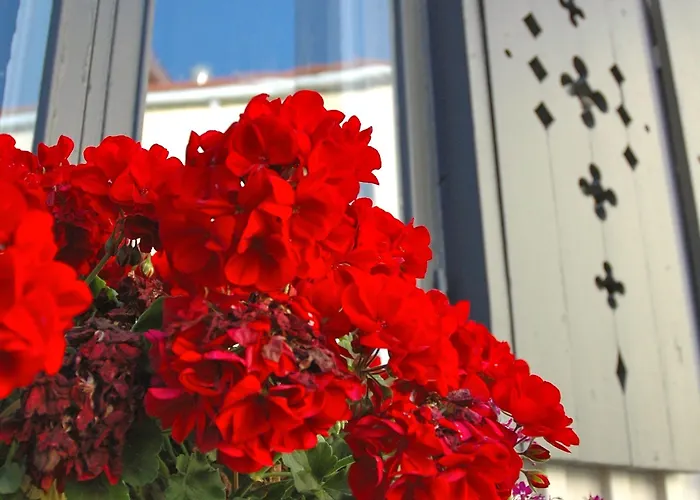 北极之光酒店 酒店