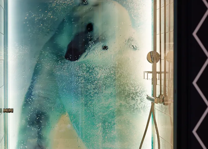 호텔 아크틱 라이트