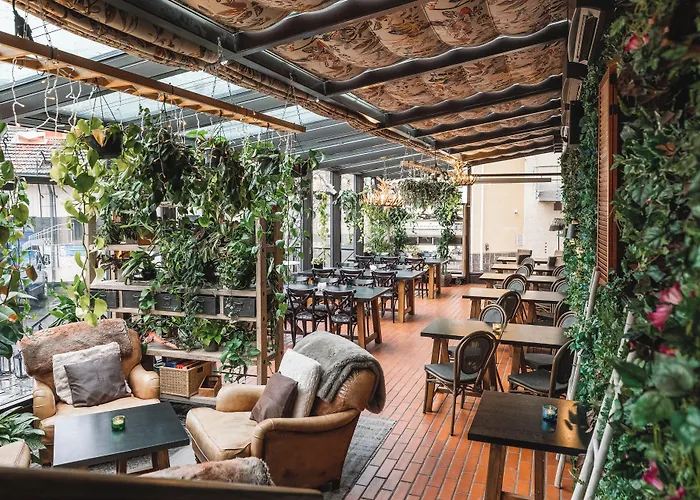 酒店 北极之光酒店 4*