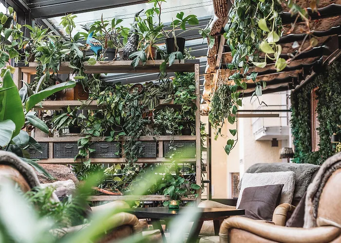 호텔 아크틱 라이트 4*