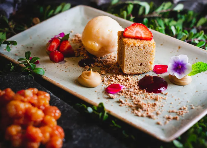 아크틱 라이트 호텔