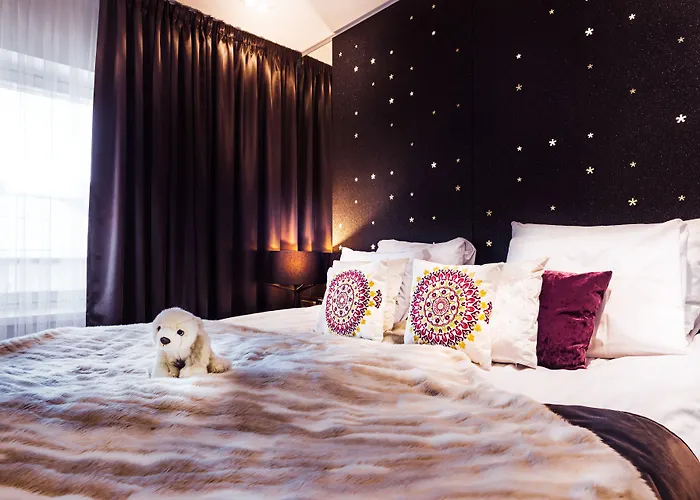 北极之光酒店 酒店 4*