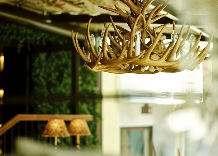 호텔 아크틱 라이트