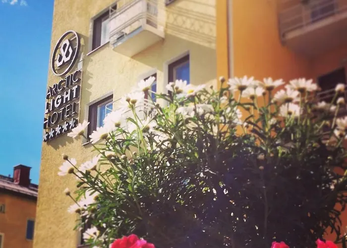 아크틱 라이트 4*