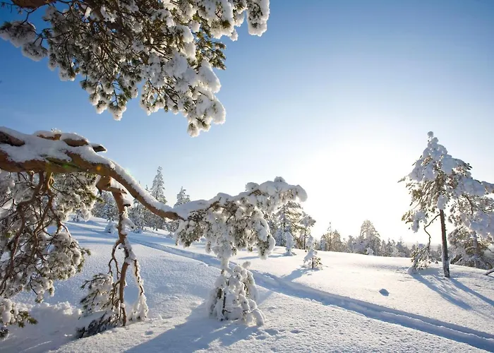 호텔 아크틱 라이트 로바니에미