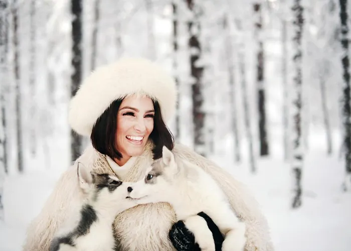 酒店 北极之光酒店 4*